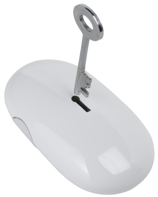 Image of a mouse and key to represent secure access